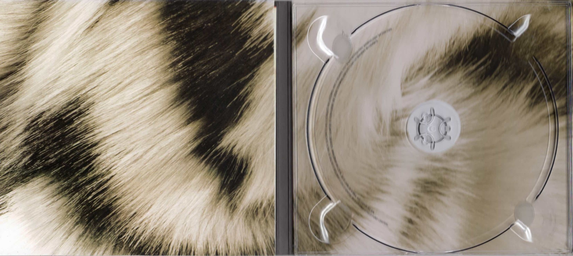 Paula Toller - Transbordada – encarte
