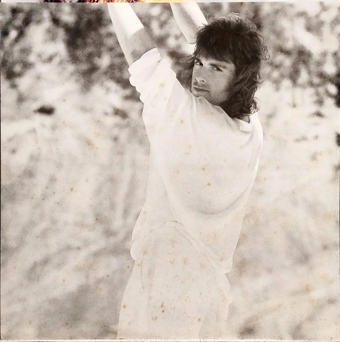 Sylvinho - Topete encarte