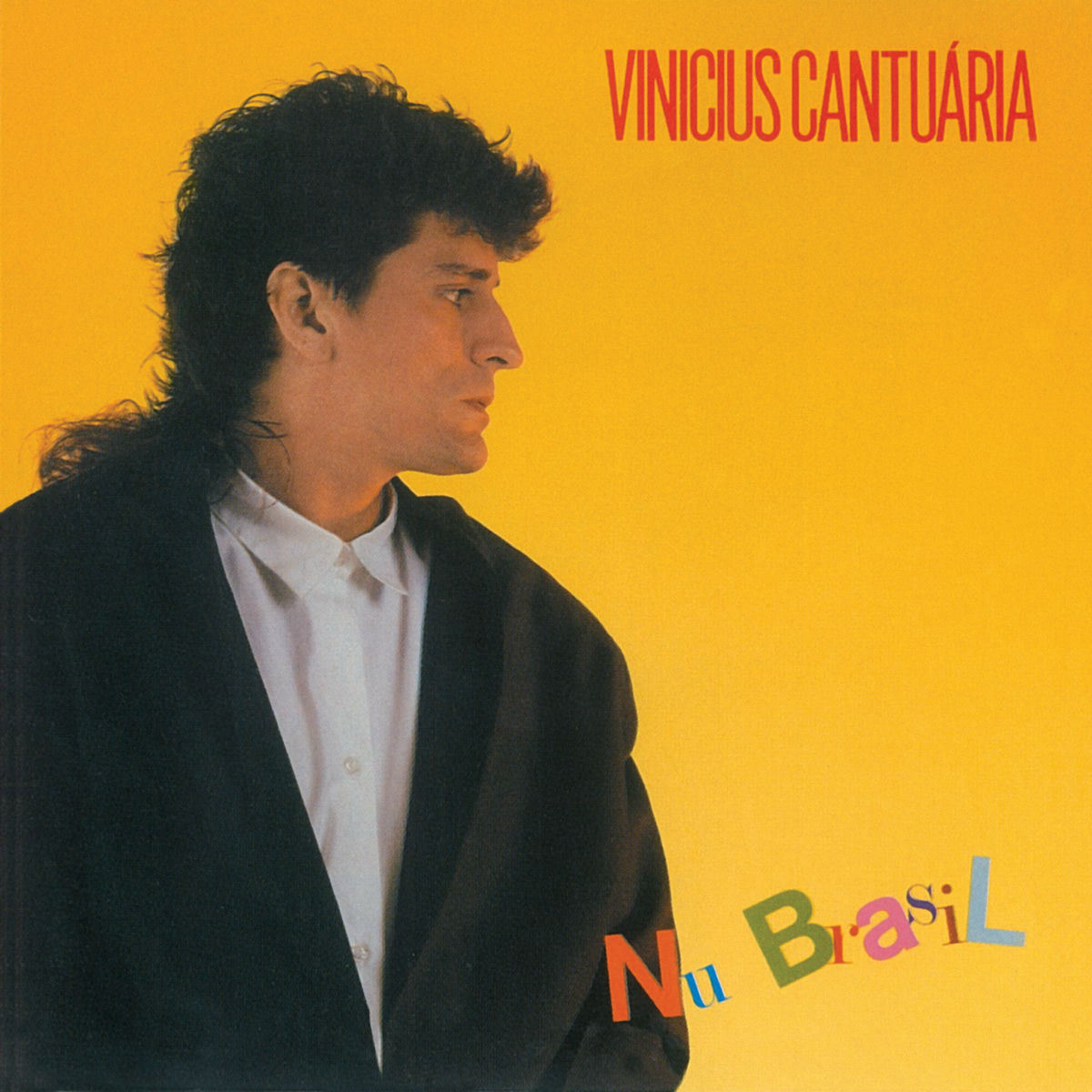 Vinicius Cantuária - Nu Brasil encarte