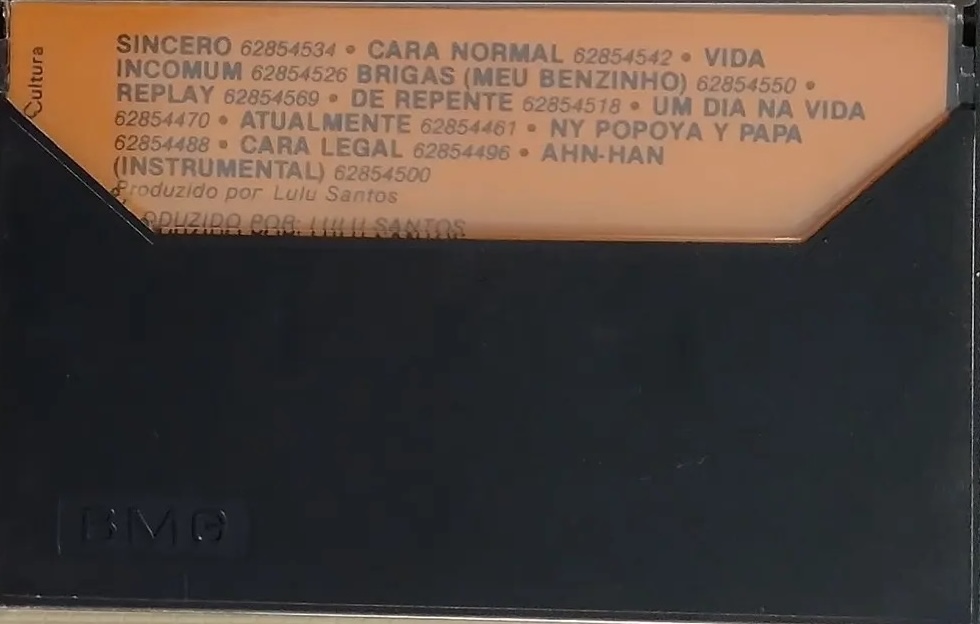 Lulu Santos - Normal encarte