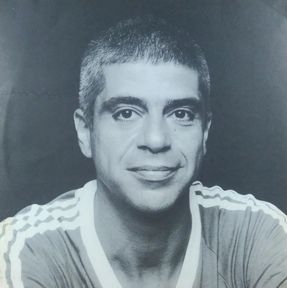 Lulu Santos - Assim Caminha A Humanidade encarte