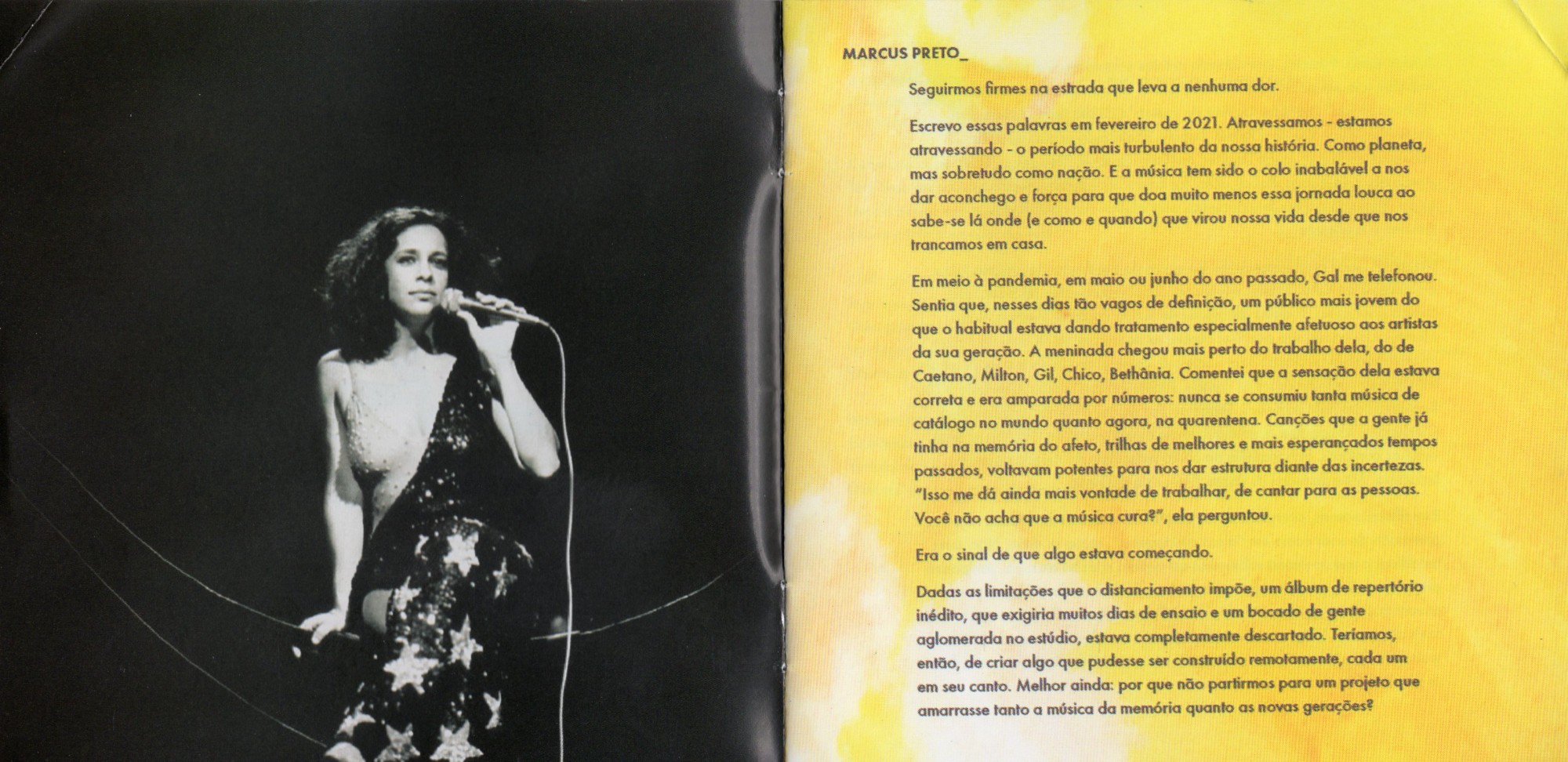Gal Costa - Nenhuma Dor encarte