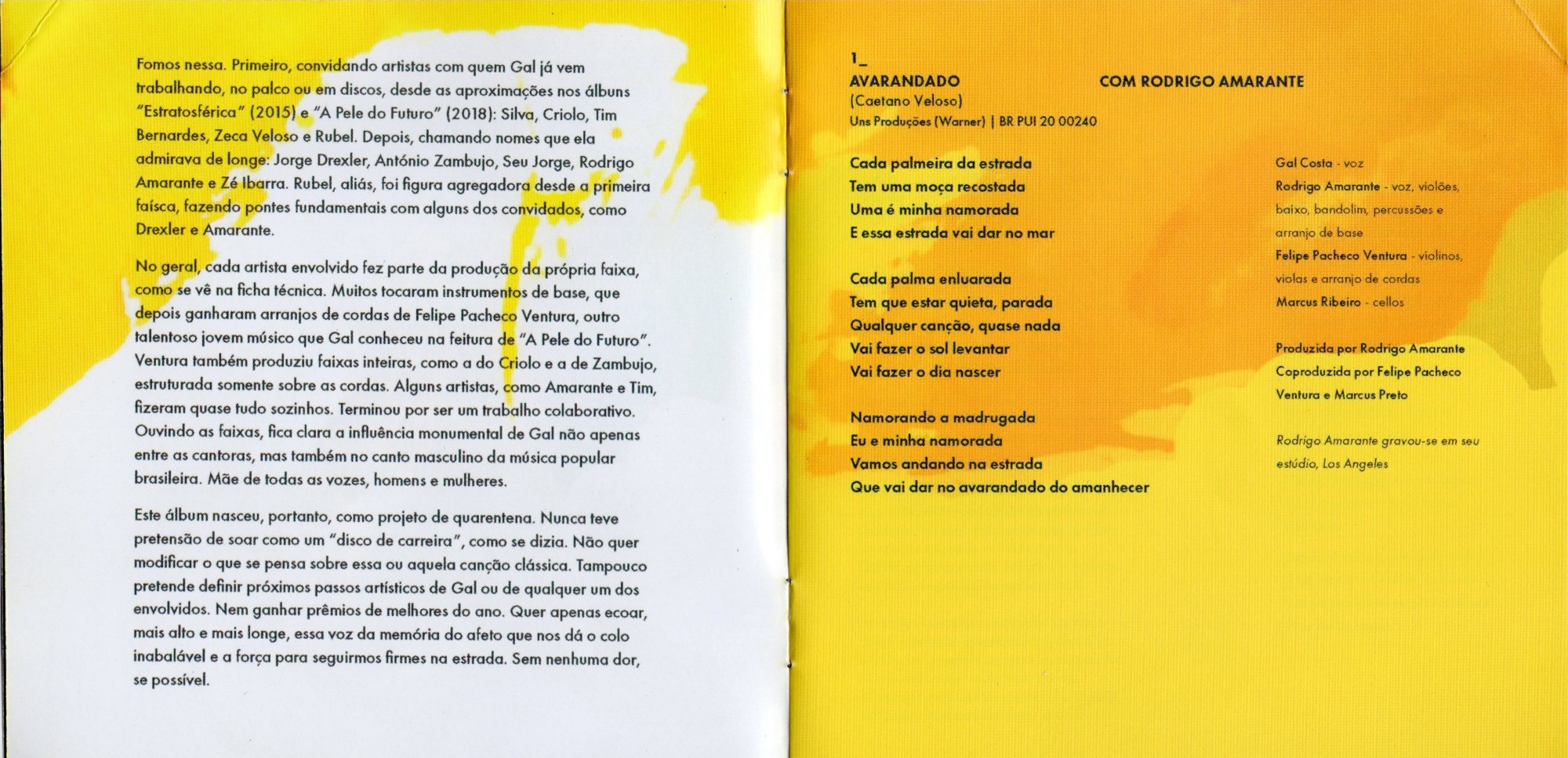 Gal Costa - Nenhuma Dor encarte